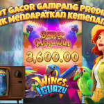 Perpaduan antara desain audio-visual yang menyenangkan dan potensi keuntungan yang besar menjadikan slot ini sebagai pilihan utama bagi banyak pemain.