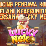 LUCKY NEKO