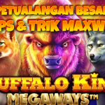 TIPS MAXWIN