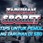 Strategi Auto WD untuk Pemula di SBO Sports!
