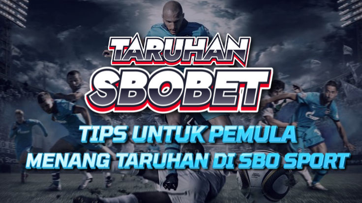 Strategi Auto WD untuk Pemula di SBO Sports!