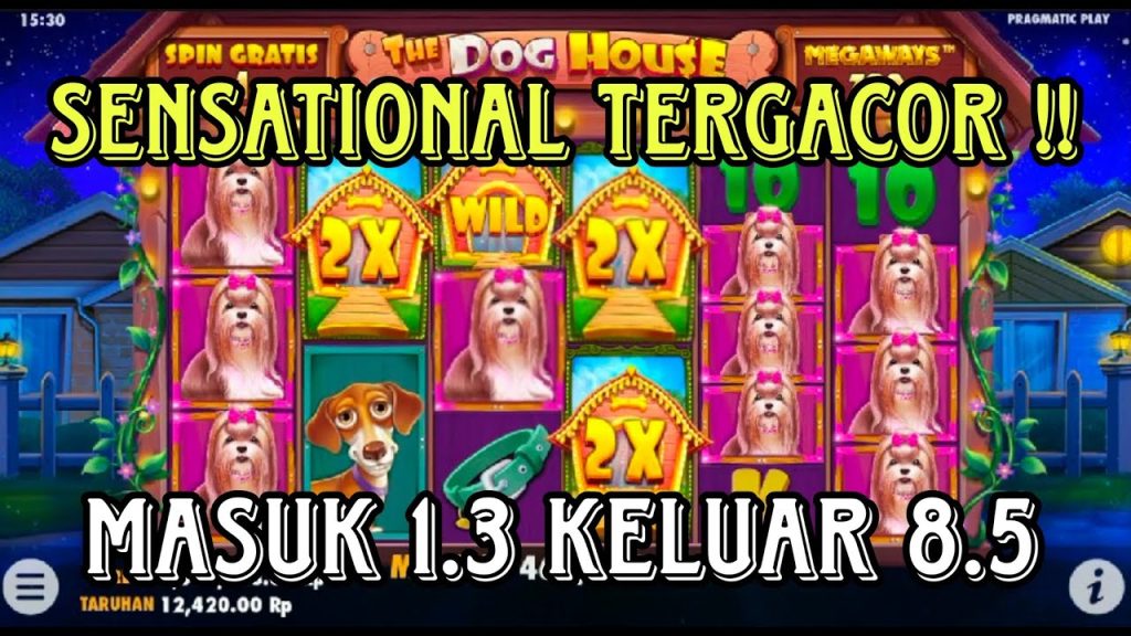 Cara Mudah Menang Slot Seru Bertema Anjing